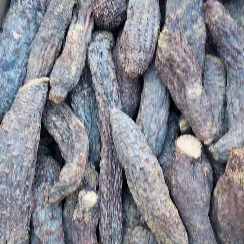 肉苁蓉新疆精品短条新货正宗滋补养生泡酒泡茶料包邮批发