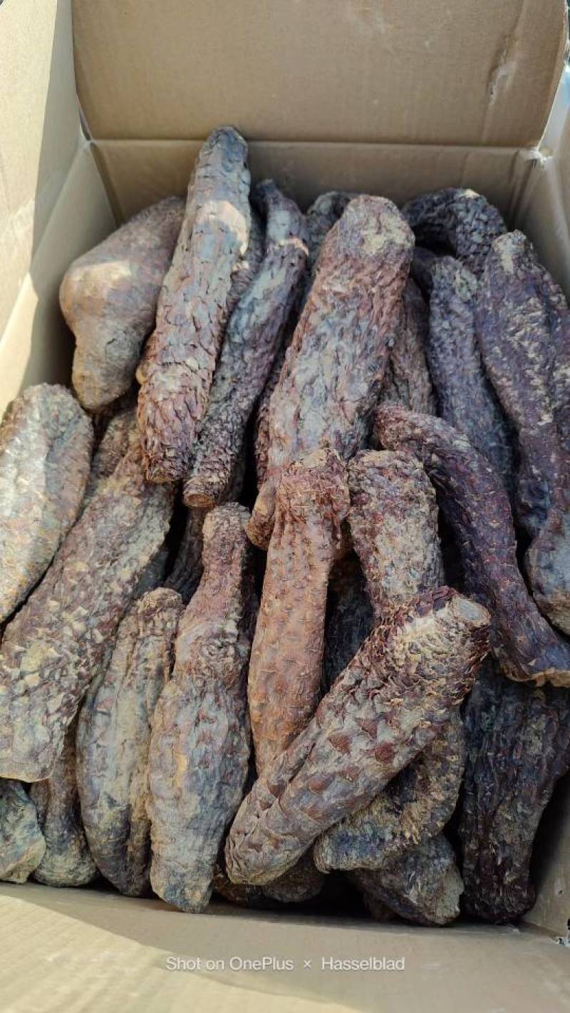 肉苁蓉新疆精品短条新货正宗滋补养生泡酒泡茶料包邮批发