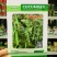 华丽3号强雌黄瓜种子甜脆绿肉旱黄瓜种子耐低温水果黄瓜种子