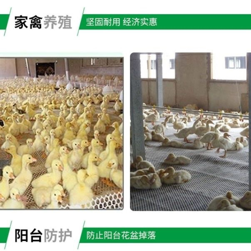 加厚养殖塑料平网养鸡鸭鹅脚垫漏粪熟胶养蜂养殖隔离网育雏网