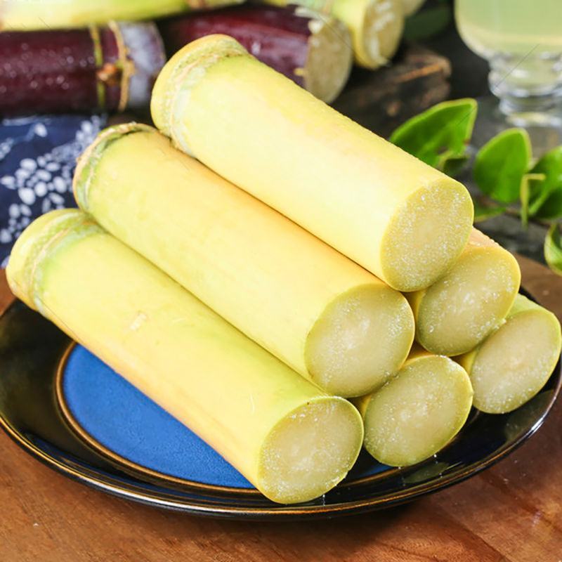 【黄皮甘蔗广东黄皮甘蔗大量供应根长茎粗大量供应欢迎咨询