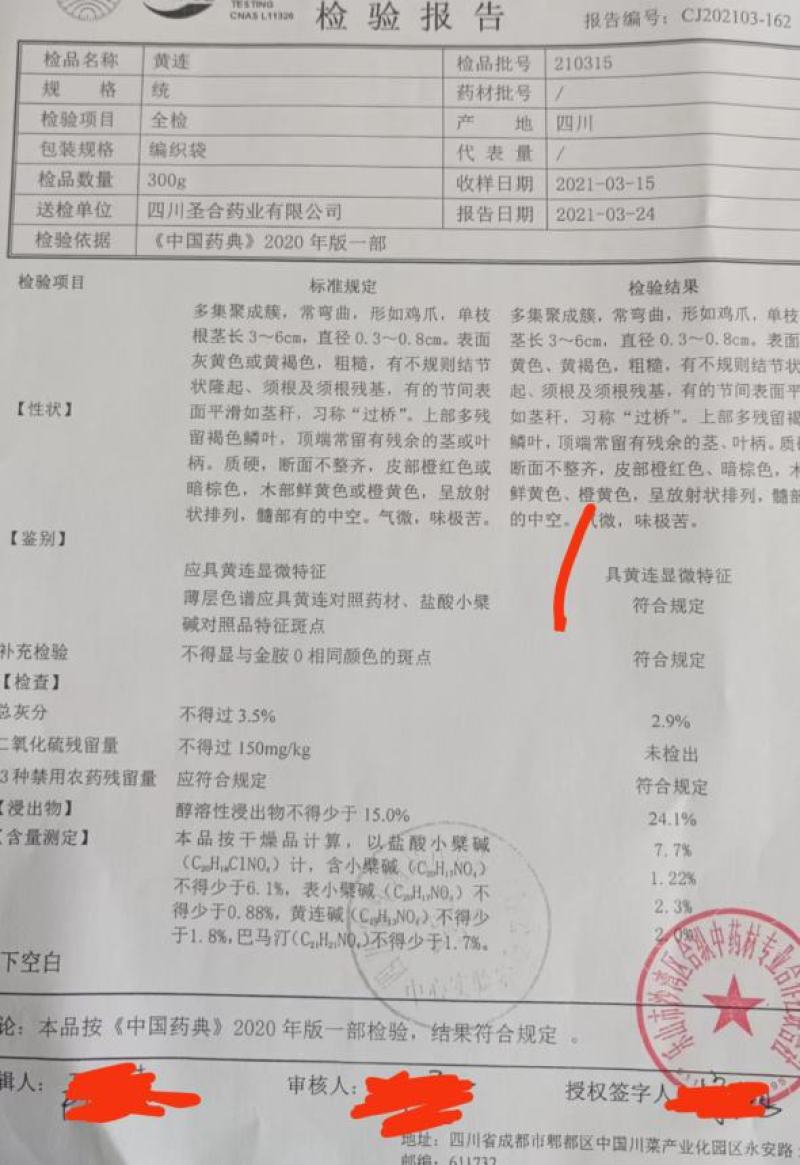 四川省峨眉山高含量包药检黄莲，单枝，根条均匀，无须根。