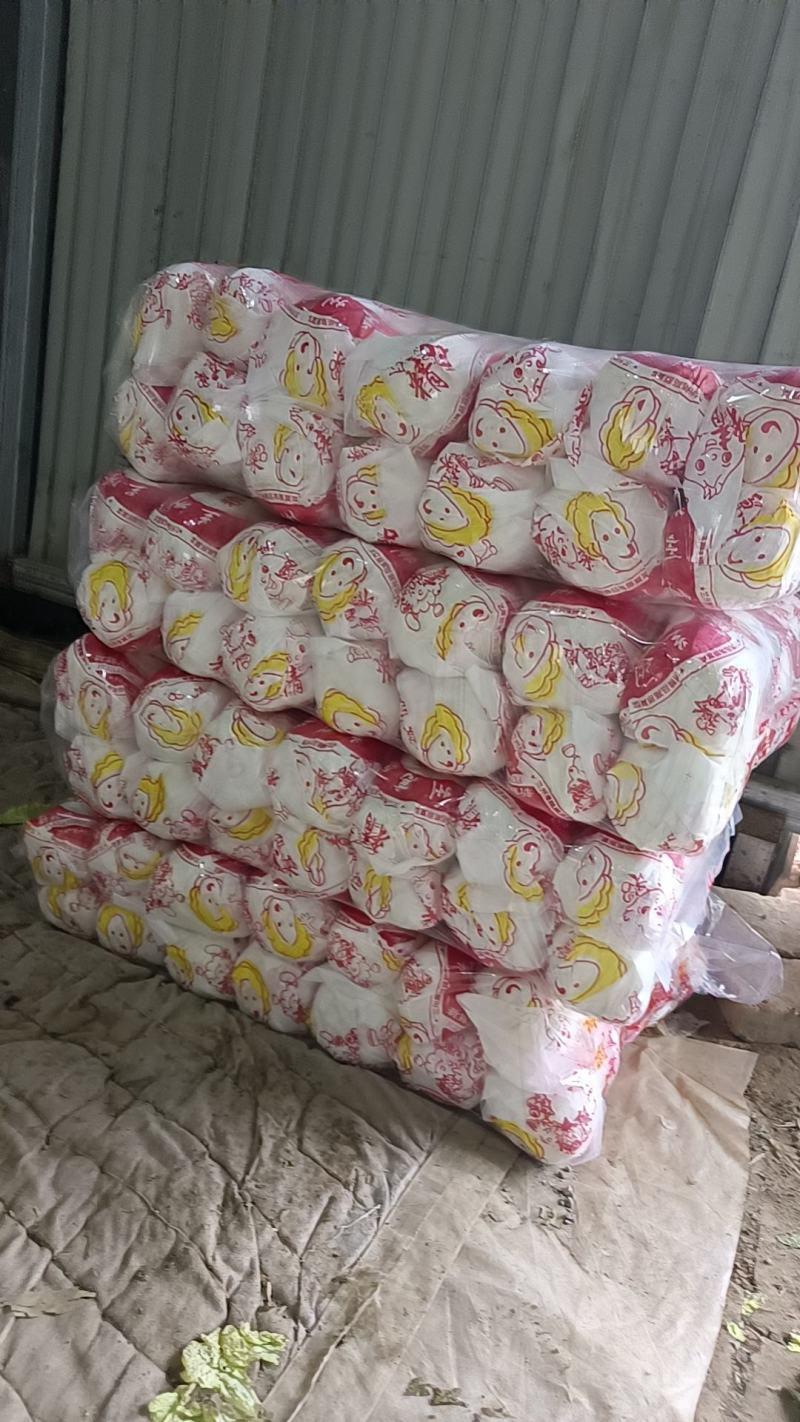 皖北基地娃娃菜精品，大娃/小娃现货供应，支持对接全国市场