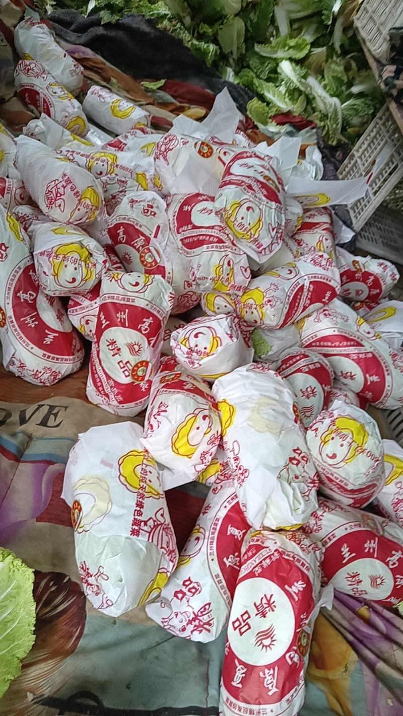 皖北基地娃娃菜精品，大娃/小娃现货供应，支持对接全国市场