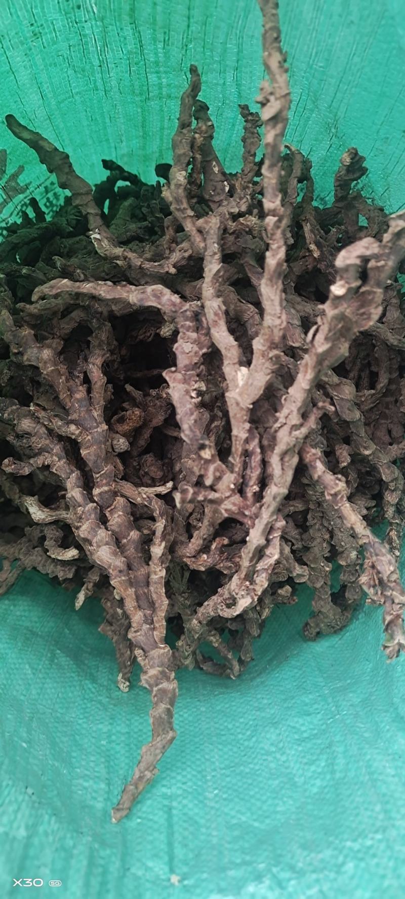 【精选】种植石菖蒲干货四川蓬溪发往全国可详谈可视频看