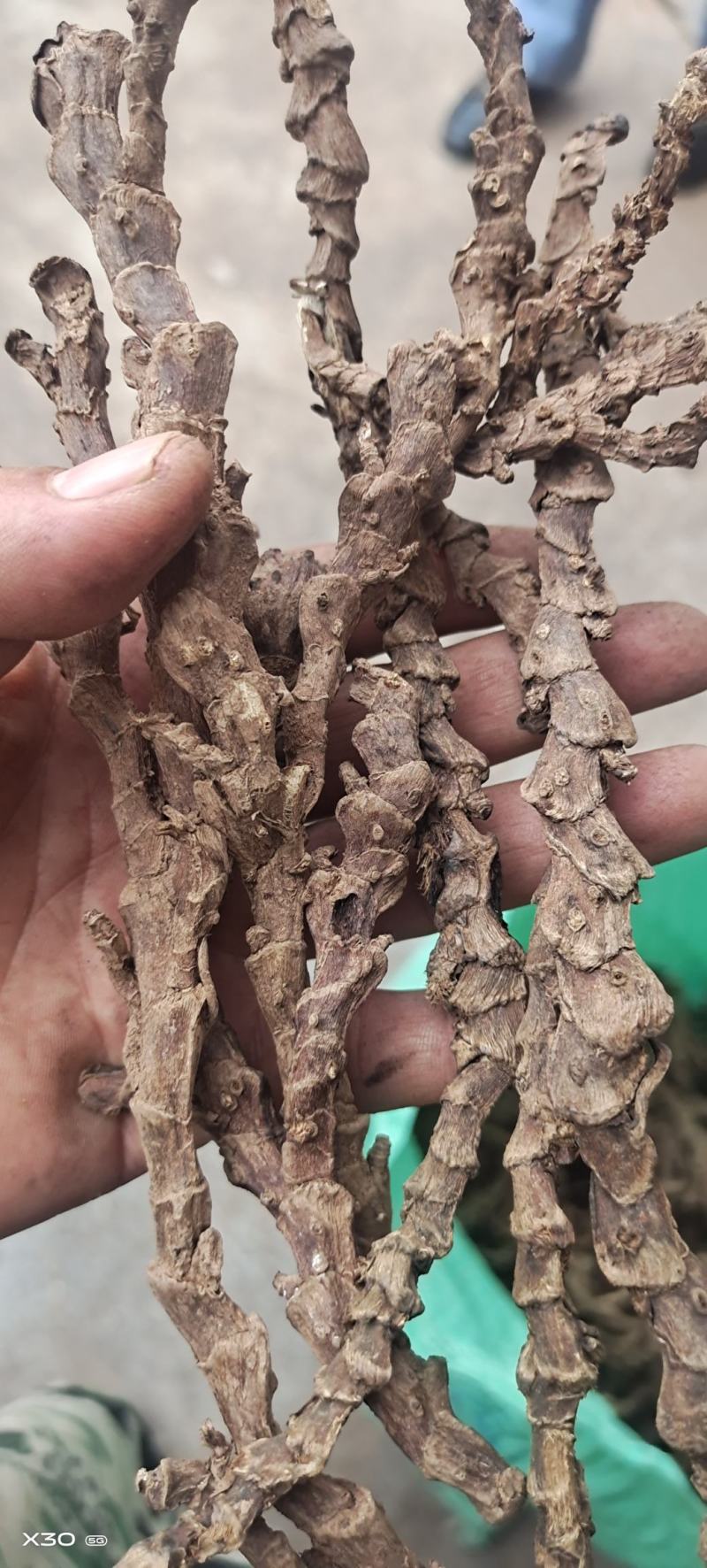 【精选】种植石菖蒲干货四川蓬溪发往全国可详谈可视频看