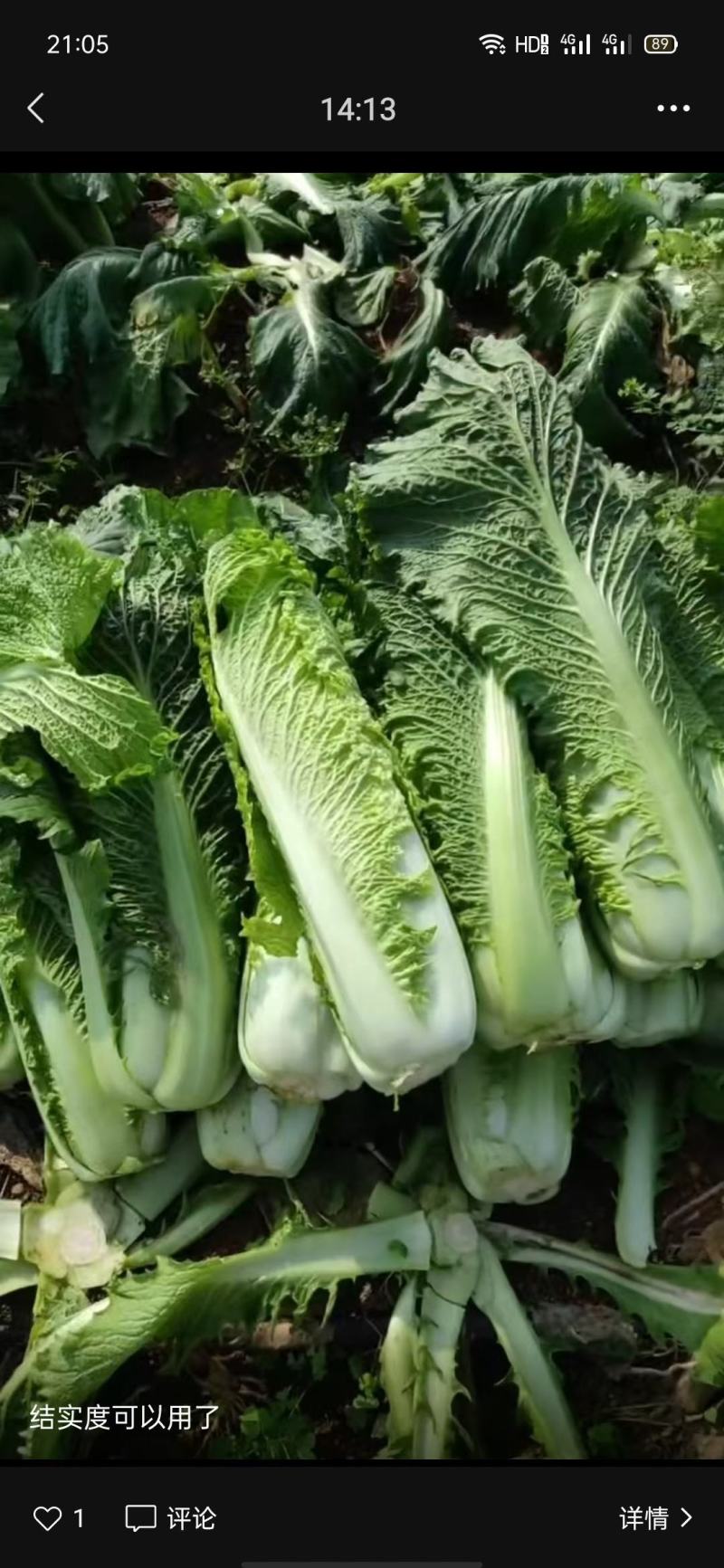 精品青麻叶产地视频看货质量好货源充足欢迎订购