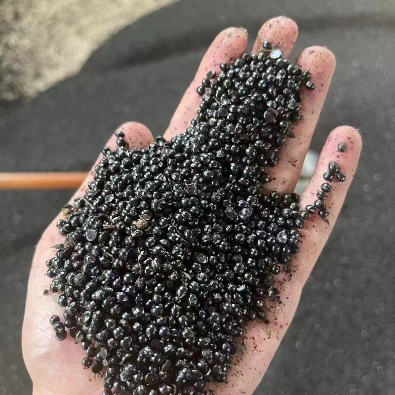 花椒籽正定县花椒籽质量保证全国发货价格优惠电联