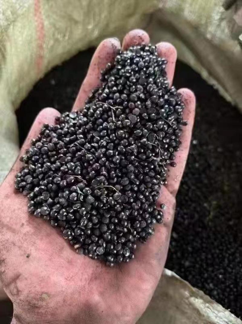 花椒籽正定县花椒籽质量保证全国发货价格优惠电联