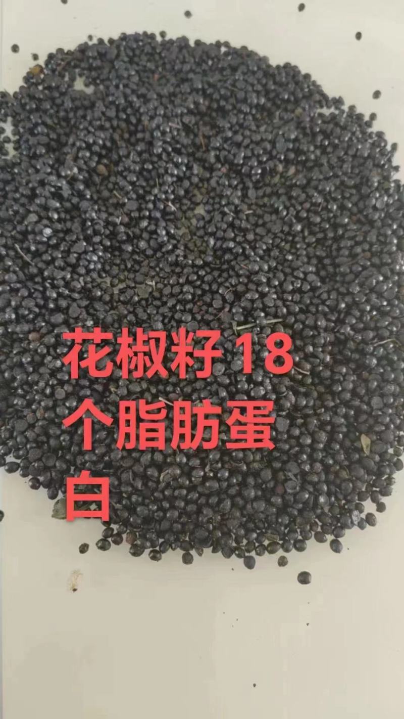 花椒籽正定县花椒籽质量保证全国发货价格优惠电联