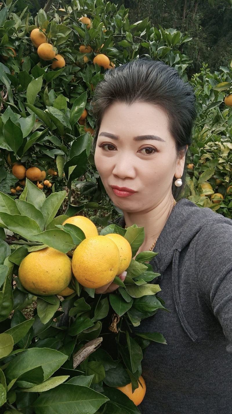 高山蜜桔自产自销，价格便宜，量大从优，一条龙服务。