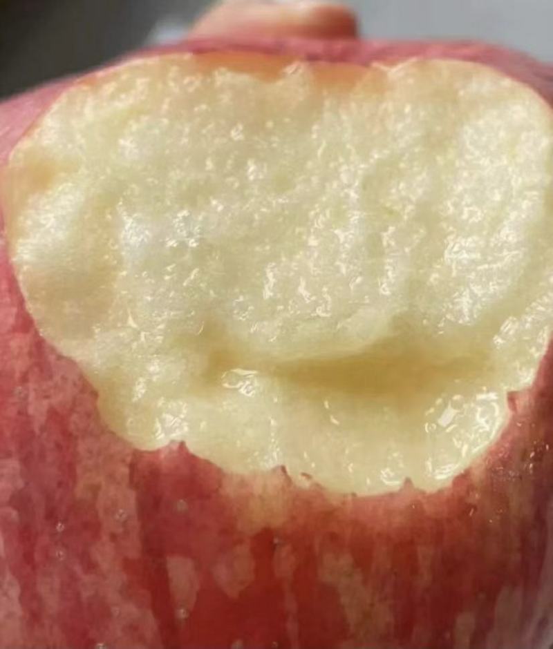 烟台苹果