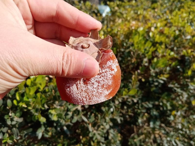 富平柿饼，产地直发，支持一件代发，价格美丽