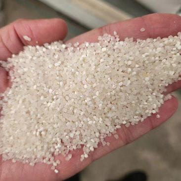 优质碎米，厂里直供，常年有货，价格随行就市