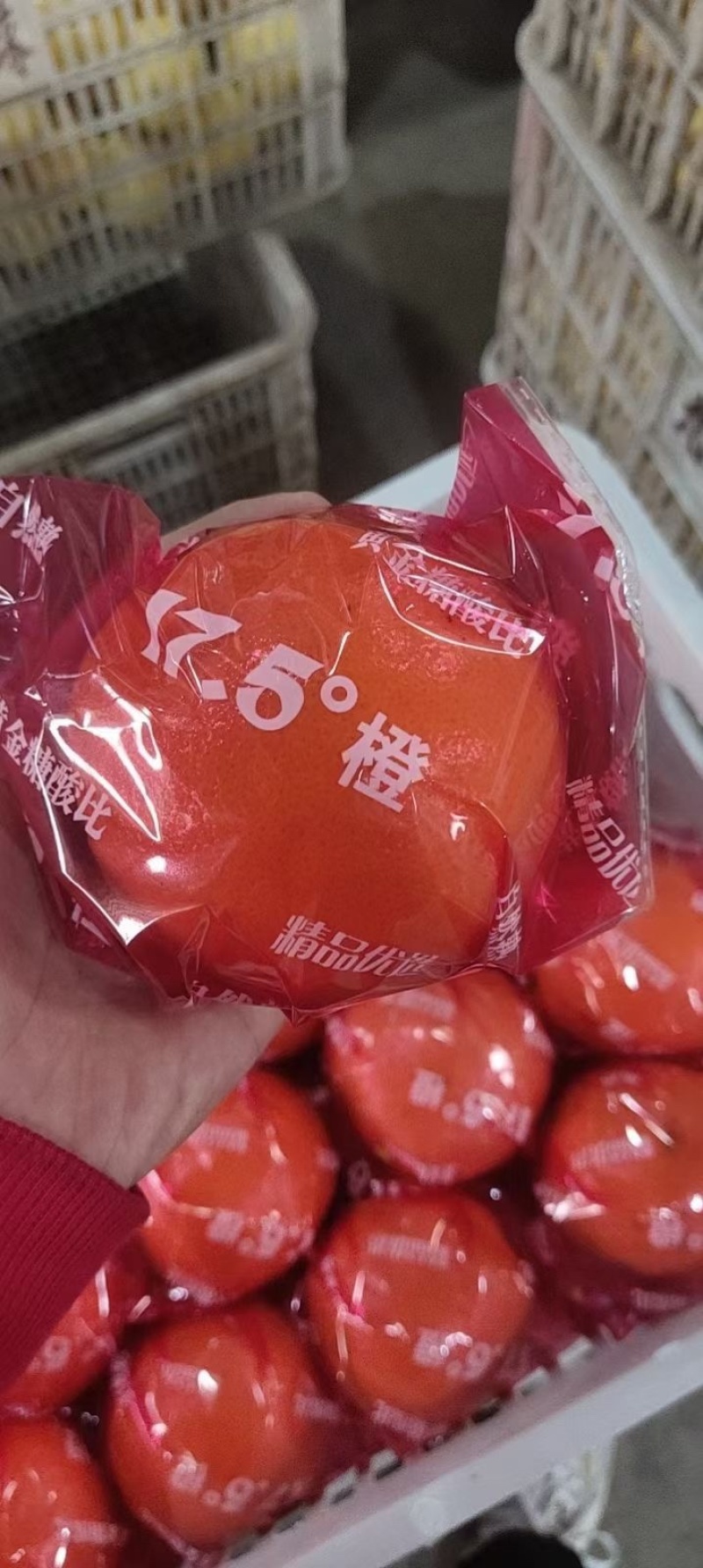 果园采摘一手货源保质保量大量供应一级二级果