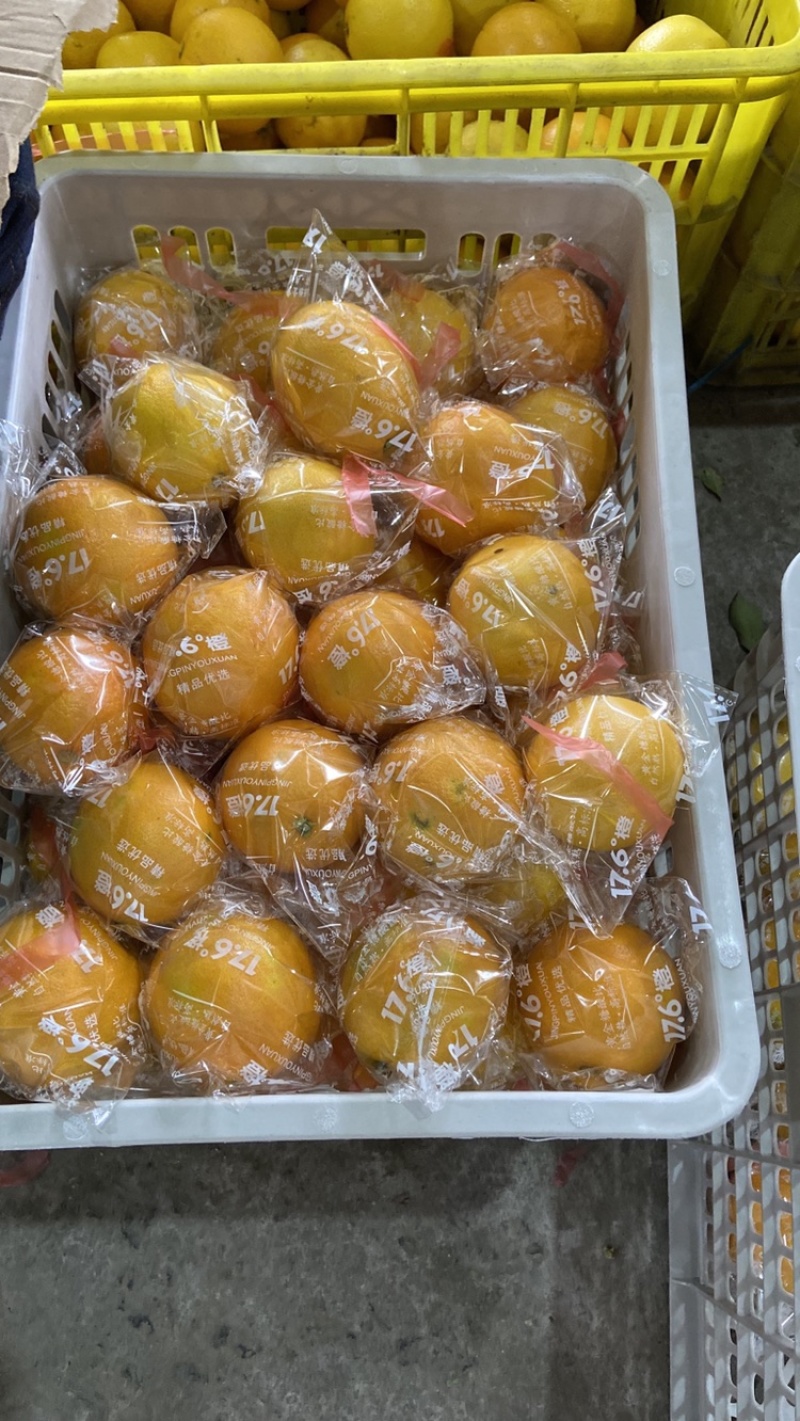 果园采摘一手货源保质保量大量供应一级二级果