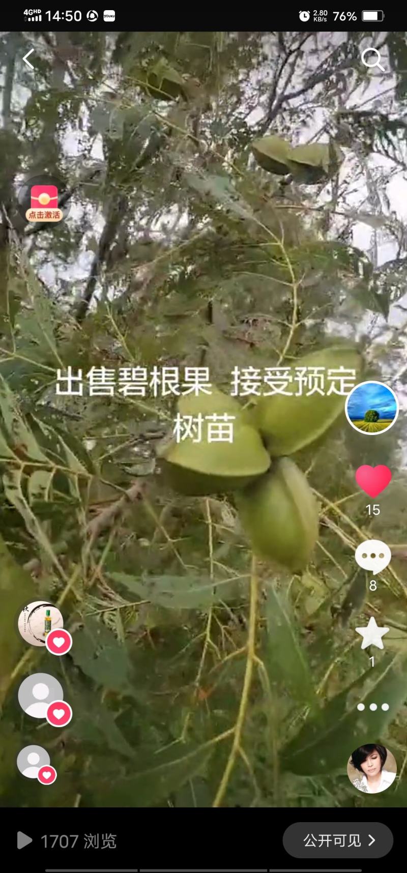 碧根果