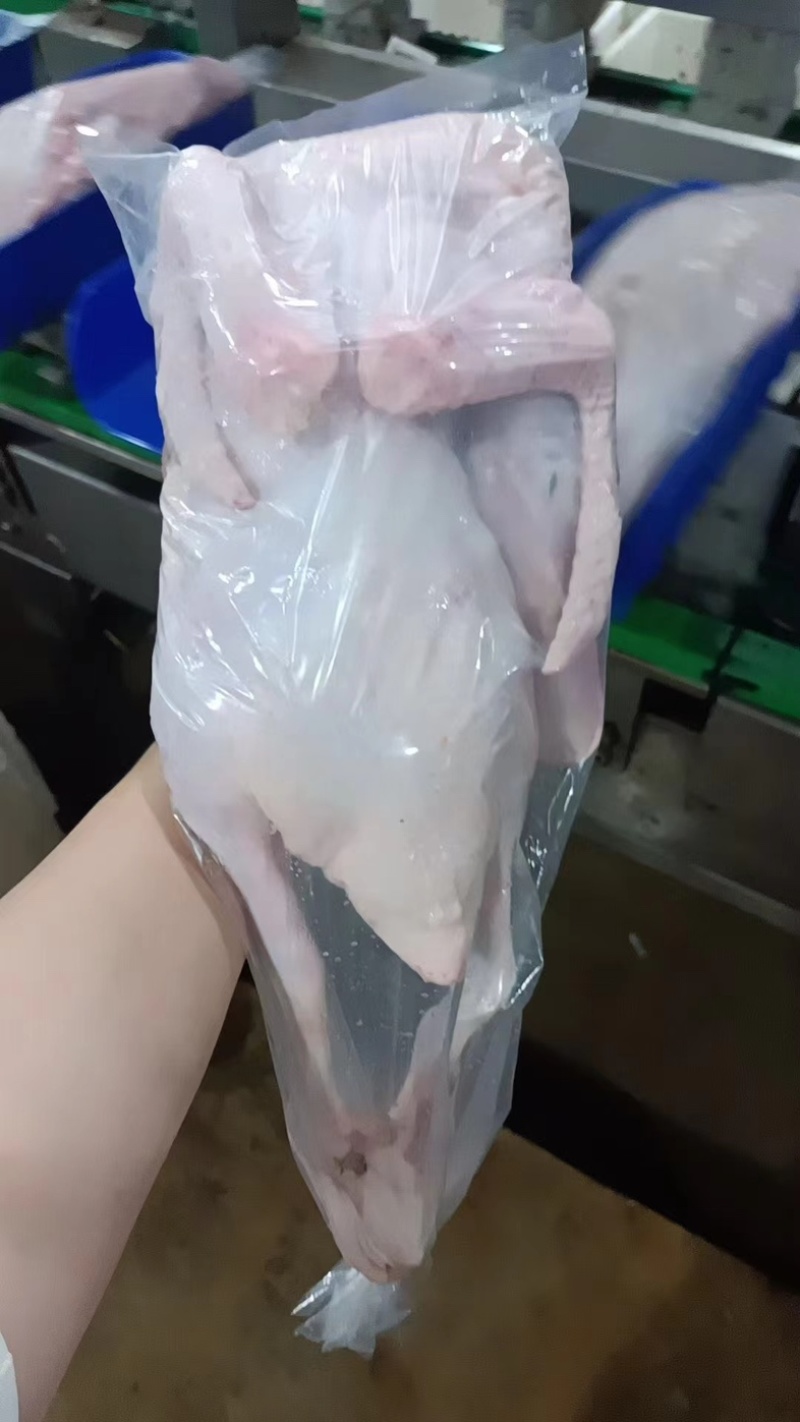 全鸭，白条全鸭，电商货，厂家直销