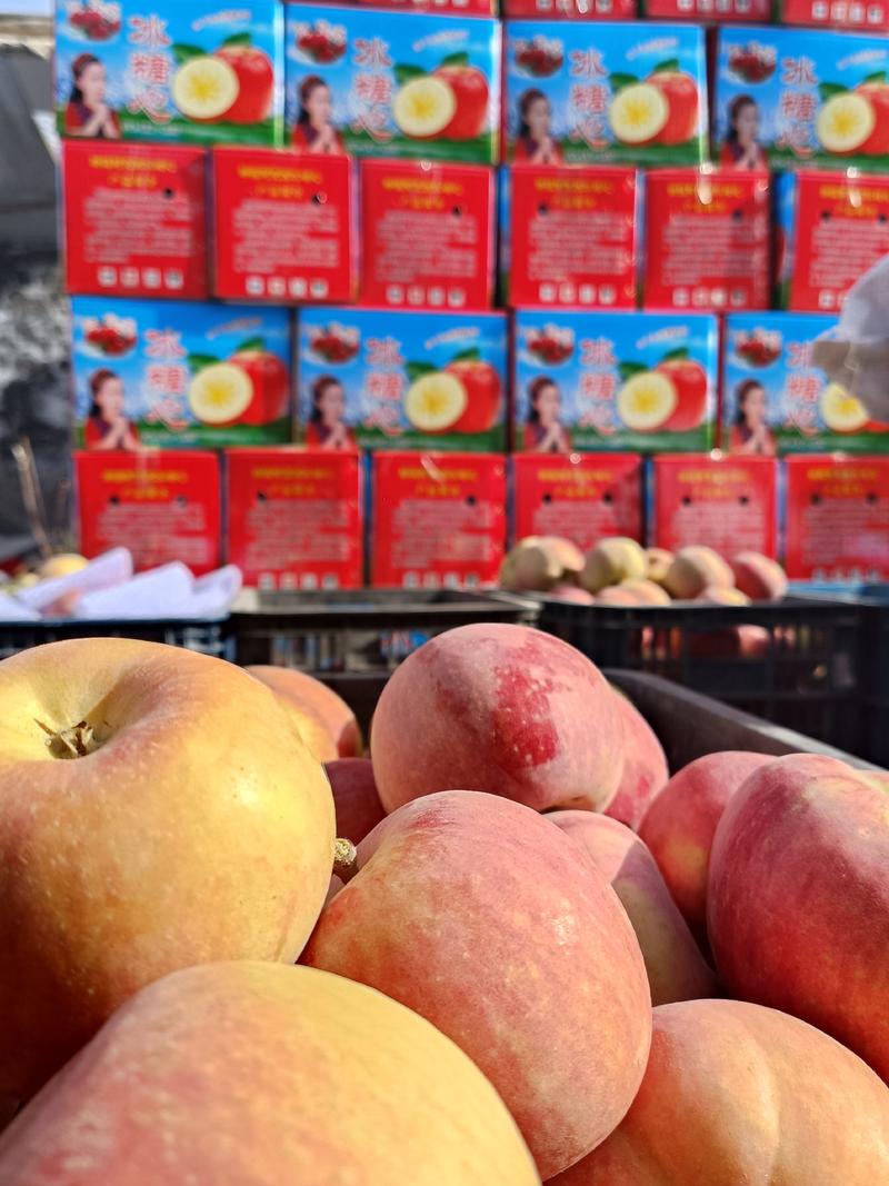 正宗新疆阿克苏苹果冰糖心实力代发全国产地一手货源价格