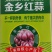 常年供应紫皮大蒜