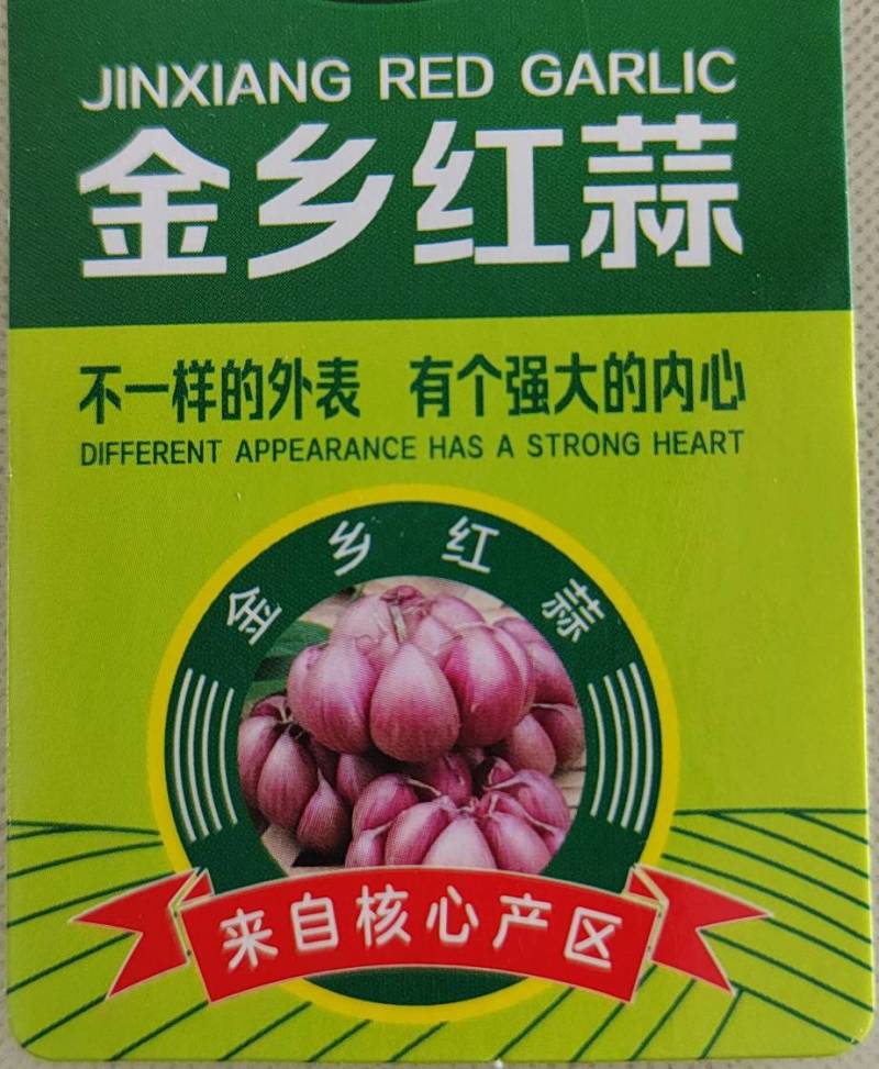 常年供应紫皮大蒜