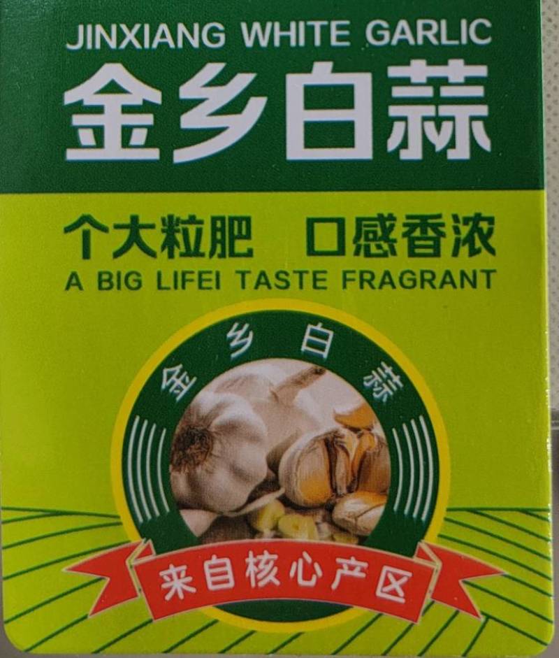 常年供应紫皮大蒜