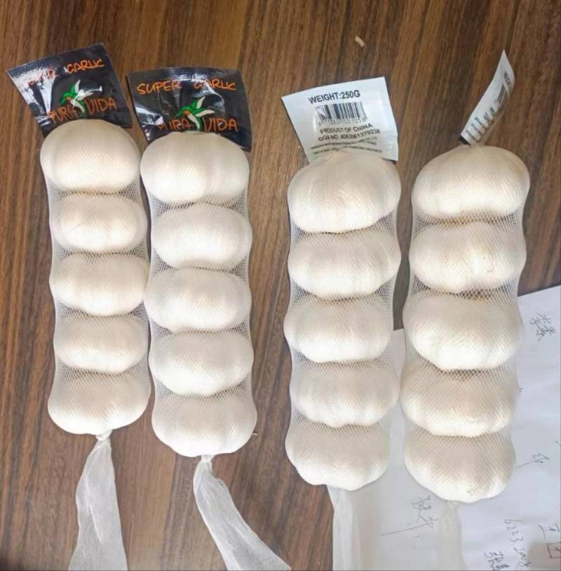 常年供应紫皮大蒜