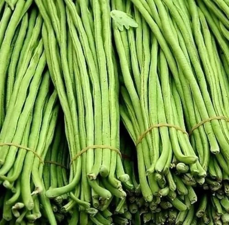 【牛商推荐】长豆角，广东徐闻长豆角，现大量上市中精品好货