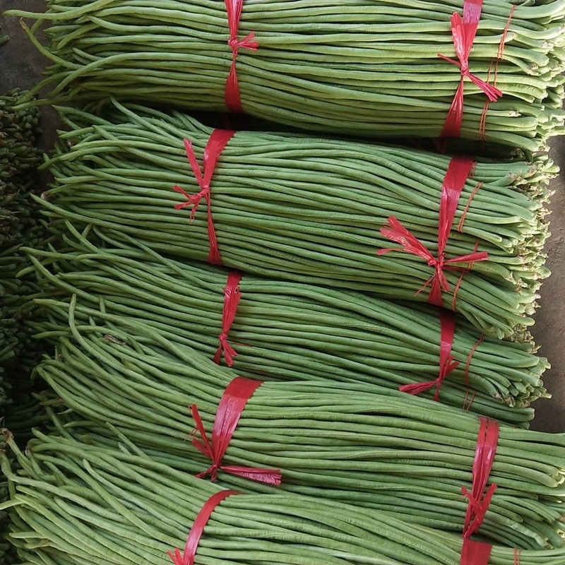 【牛商推荐】长豆角，广东徐闻长豆角，现大量上市中精品好货