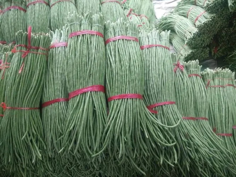 【牛商推荐】长豆角，广东徐闻长豆角，现大量上市中精品好货