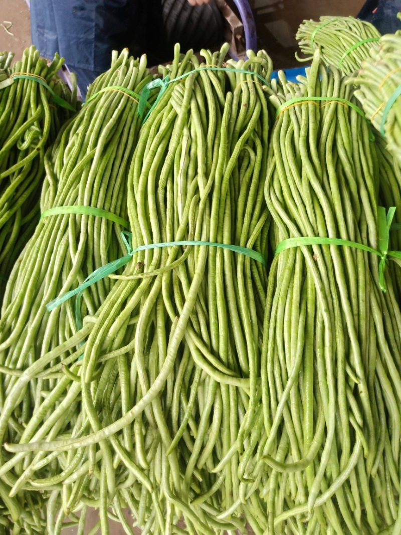 【牛商推荐】长豆角，广东徐闻长豆角，现大量上市中精品好货
