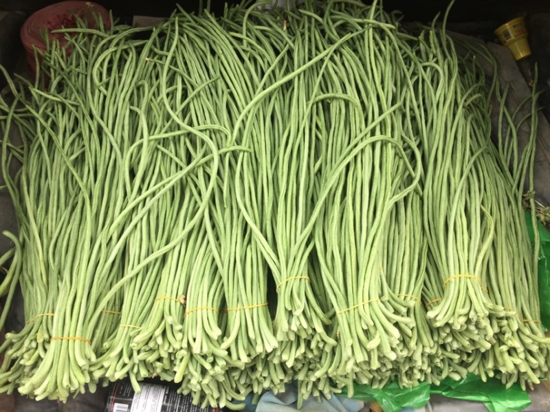 【牛商推荐】长豆角，广东徐闻长豆角，现大量上市中精品好货