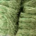 【牛商推荐】长豆角，广东徐闻长豆角，现大量上市中精品好货