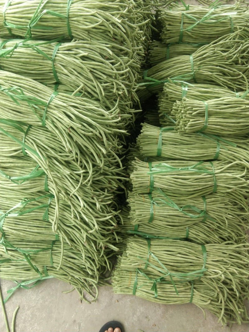 【牛商推荐】长豆角，广东徐闻长豆角，现大量上市中精品好货