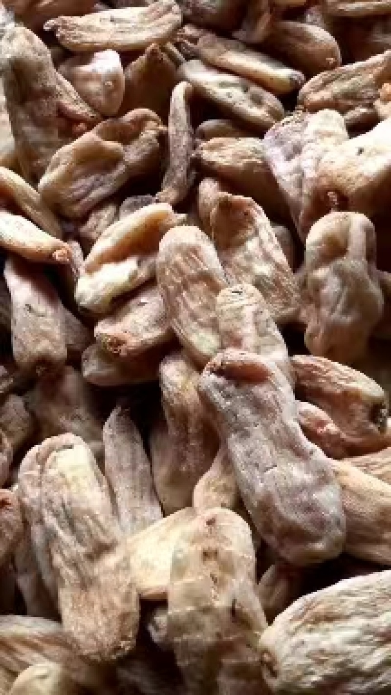 天麻