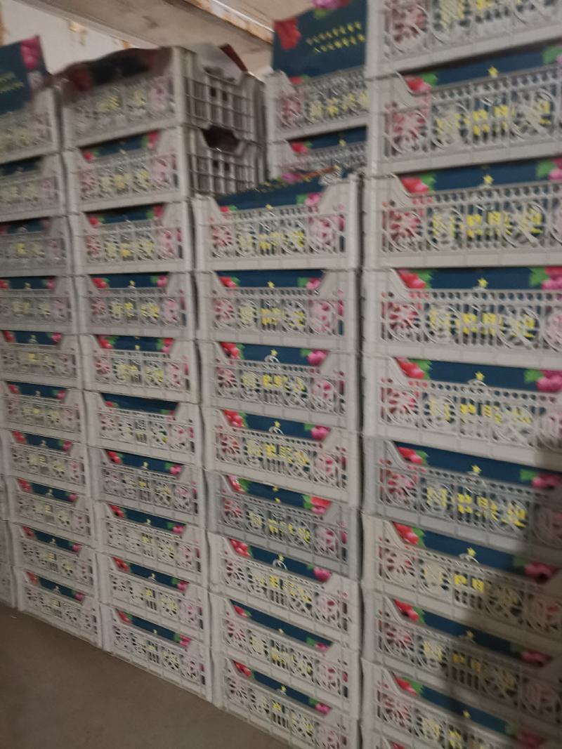 高原红提，口感脆甜，颗粒大，货源充足