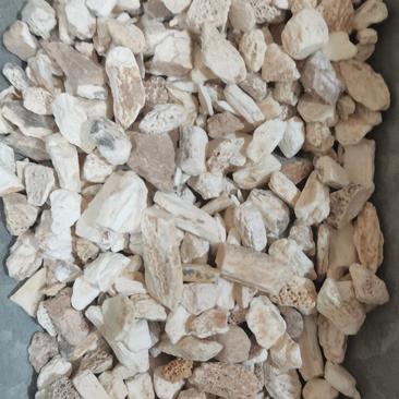 龙骨生龙骨煅龙骨一公斤起批各种矿石类中药材