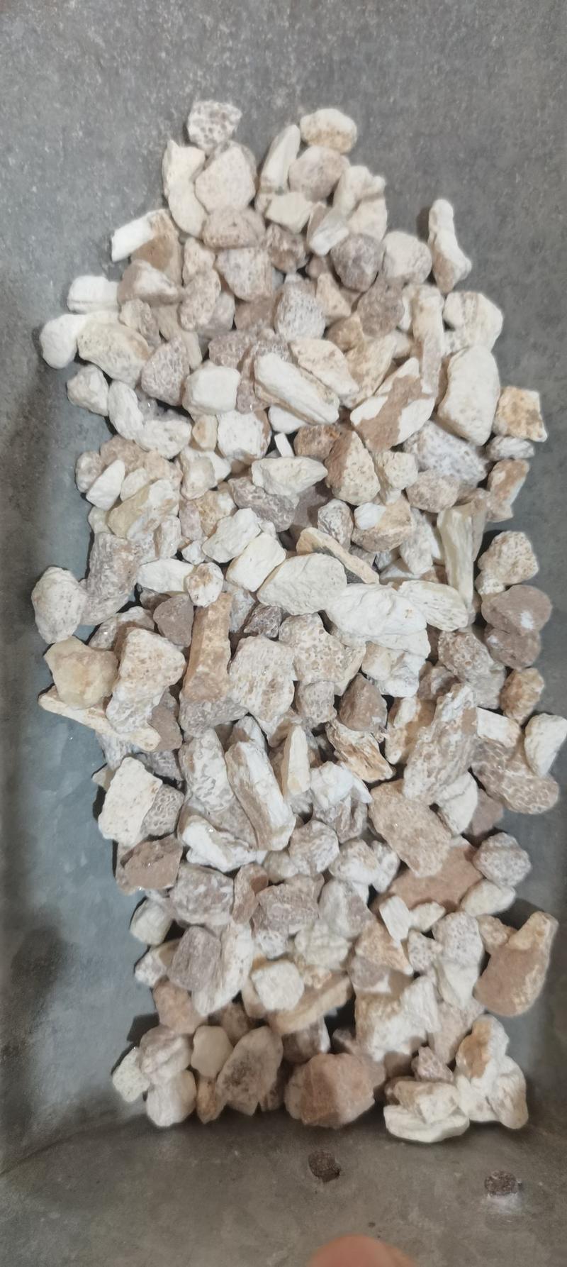 龙骨生龙骨煅龙骨一公斤起批各种矿石类中药材