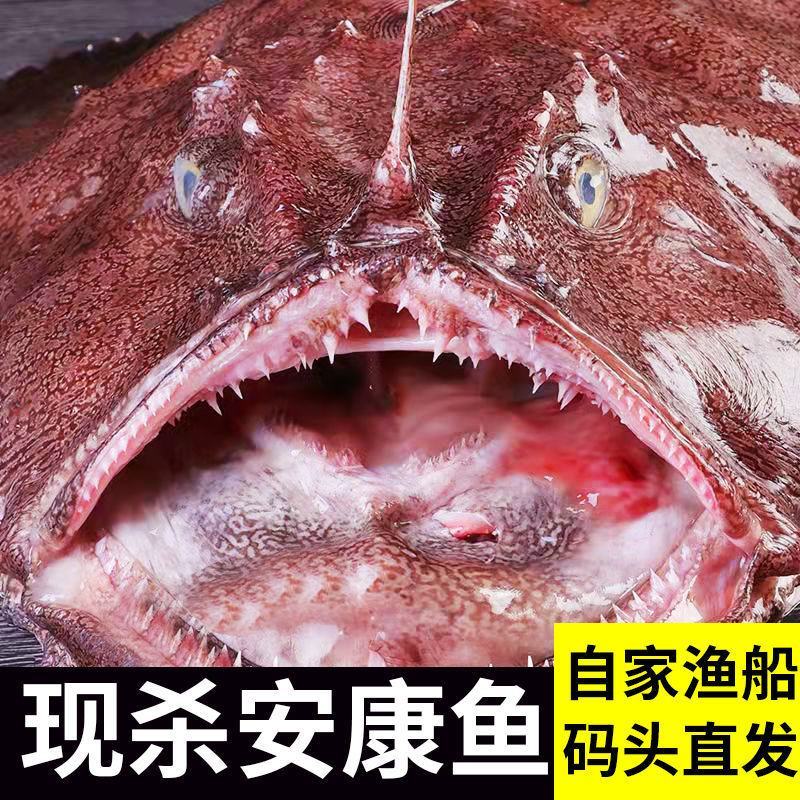新鲜开肚速冻安康鱼净重,保留鱼肝鱼肚安康鱼包邮