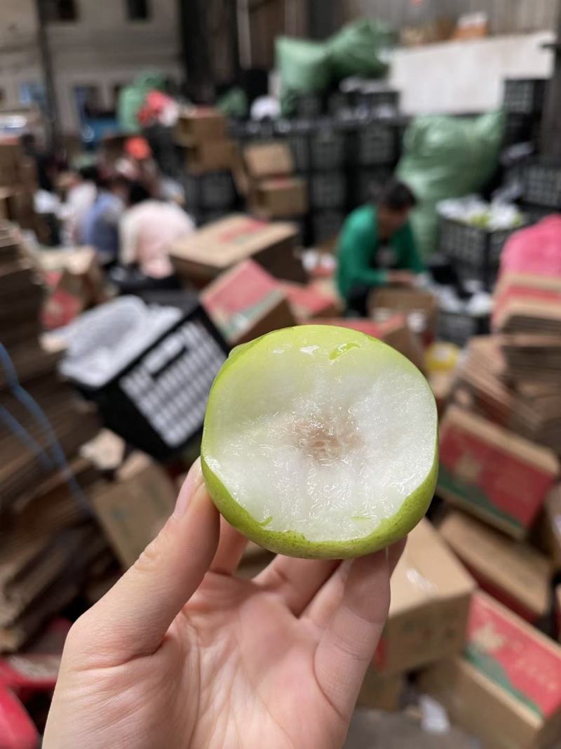 西双版纳苹果枣一件代发云南苹果枣一件代发