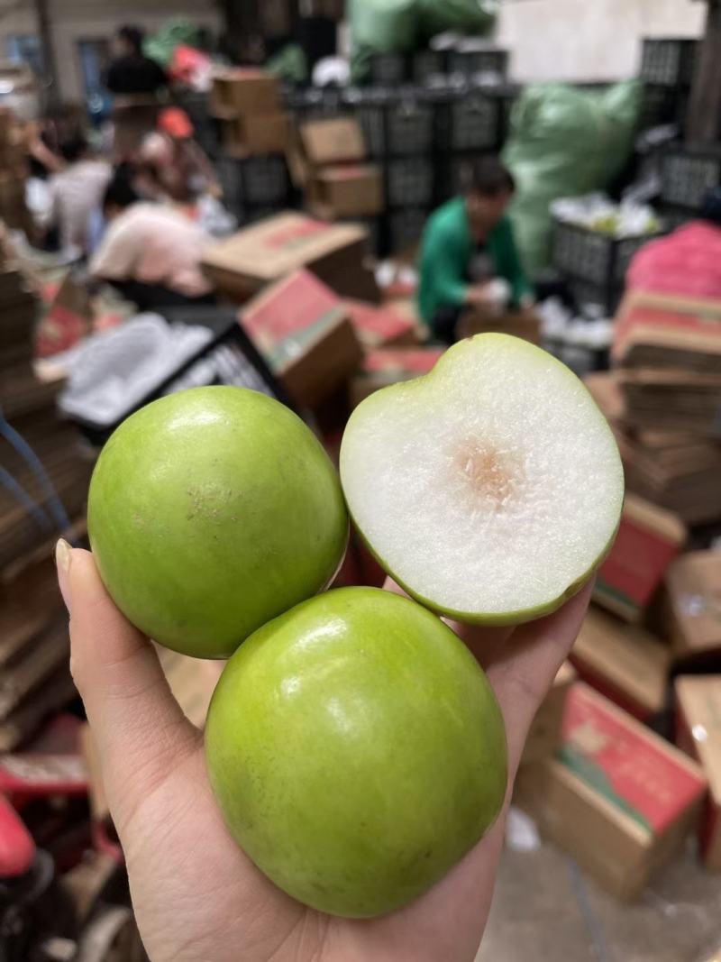 西双版纳苹果枣一件代发云南苹果枣一件代发