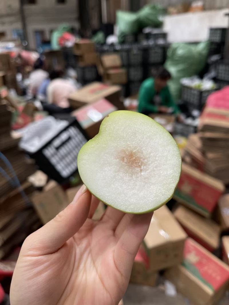 西双版纳苹果枣一件代发云南苹果枣一件代发