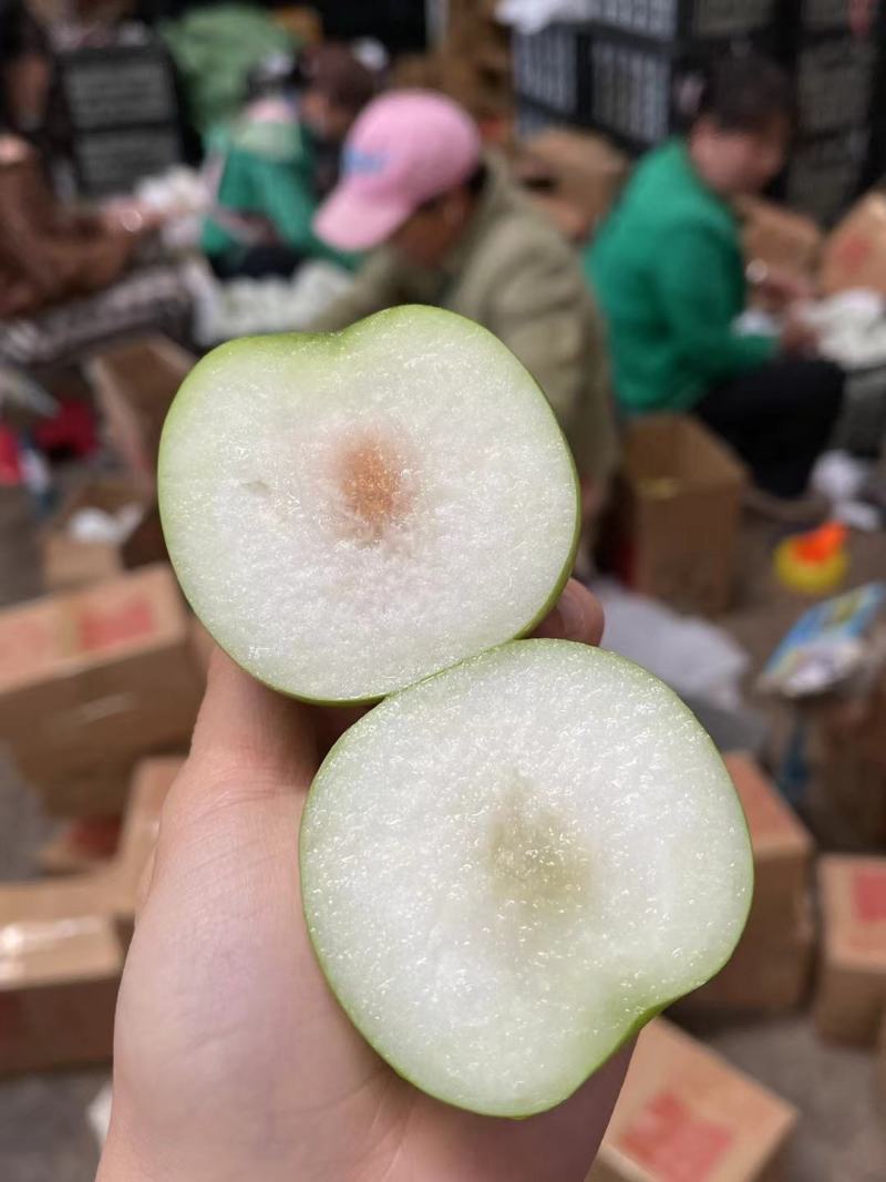 西双版纳苹果枣一件代发云南苹果枣一件代发