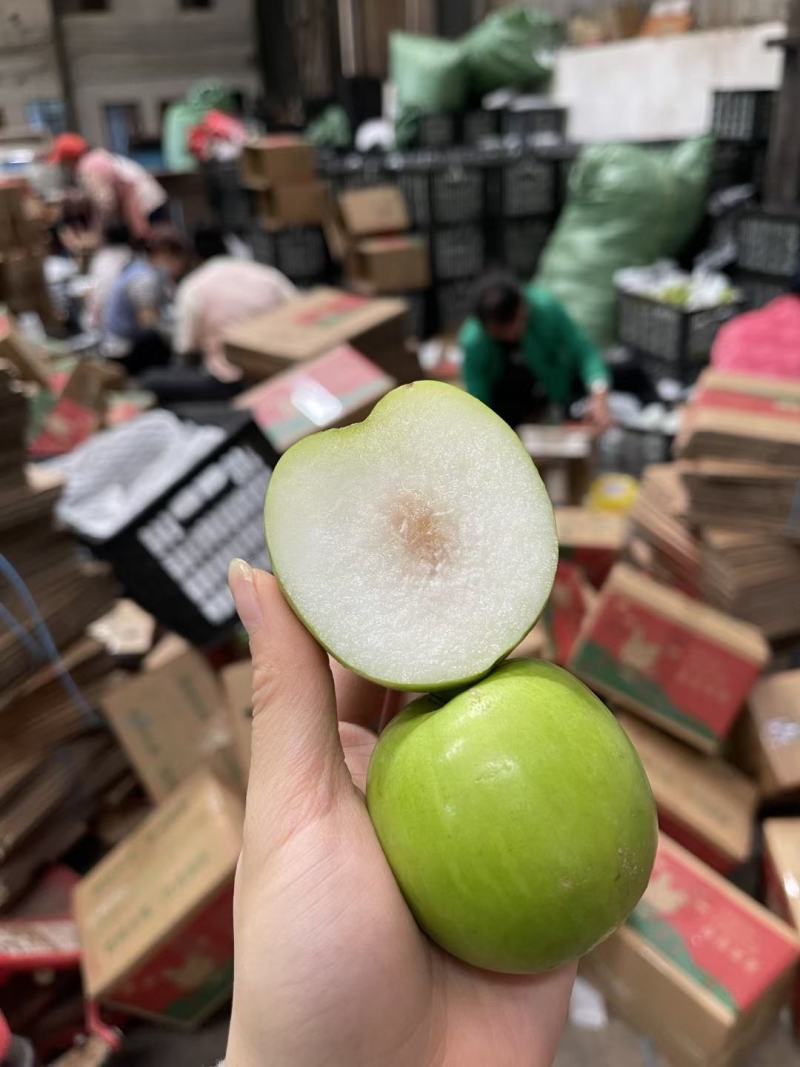 西双版纳苹果枣一件代发云南苹果枣一件代发