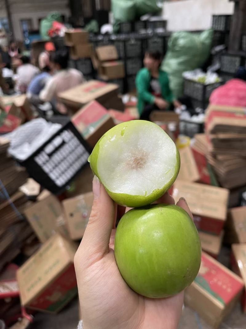 西双版纳苹果枣一件代发云南苹果枣一件代发