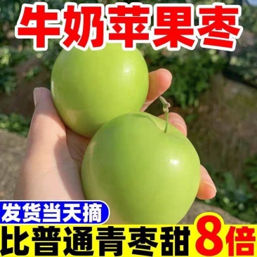 西双版纳苹果枣一件代发云南苹果枣一件代发