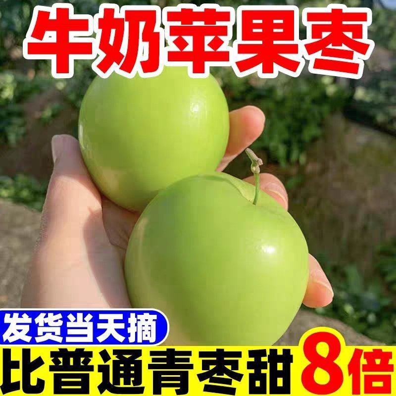 西双版纳苹果枣一件代发云南苹果枣一件代发