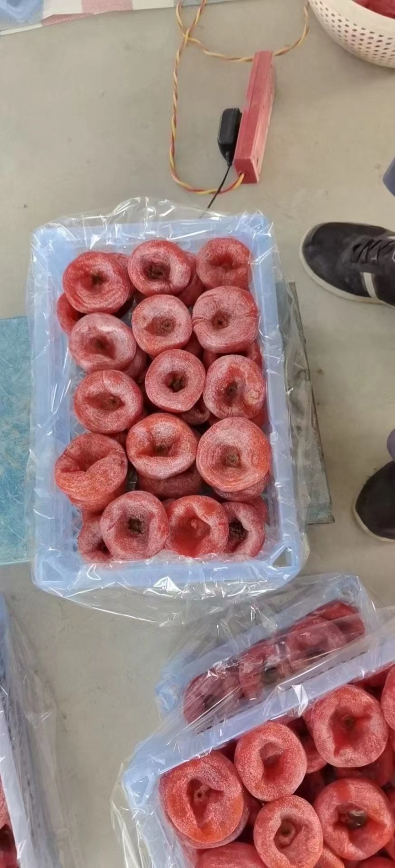 柿饼，吊柿饼，有货