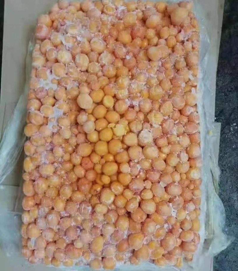 鸡蛋黄鸡蛋卵天然软磷脂货源充足大量有货质量保证