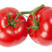 精品红果西红柿，产地直发货源充足，品质保证，欢迎采购